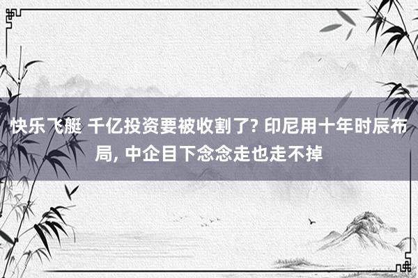 快乐飞艇 千亿投资要被收割了? 印尼用十年时辰布局， 中企目下念念走也走不掉