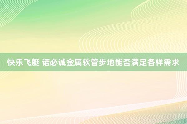 快乐飞艇 诺必诚金属软管步地能否满足各样需求